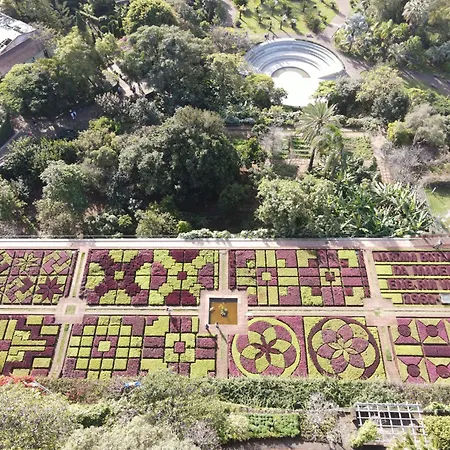Lägenhet Sea And Sun 4 - Choupana Funchal (Madeira)